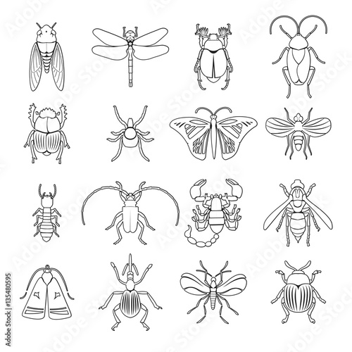 Outline Insects Icons Set