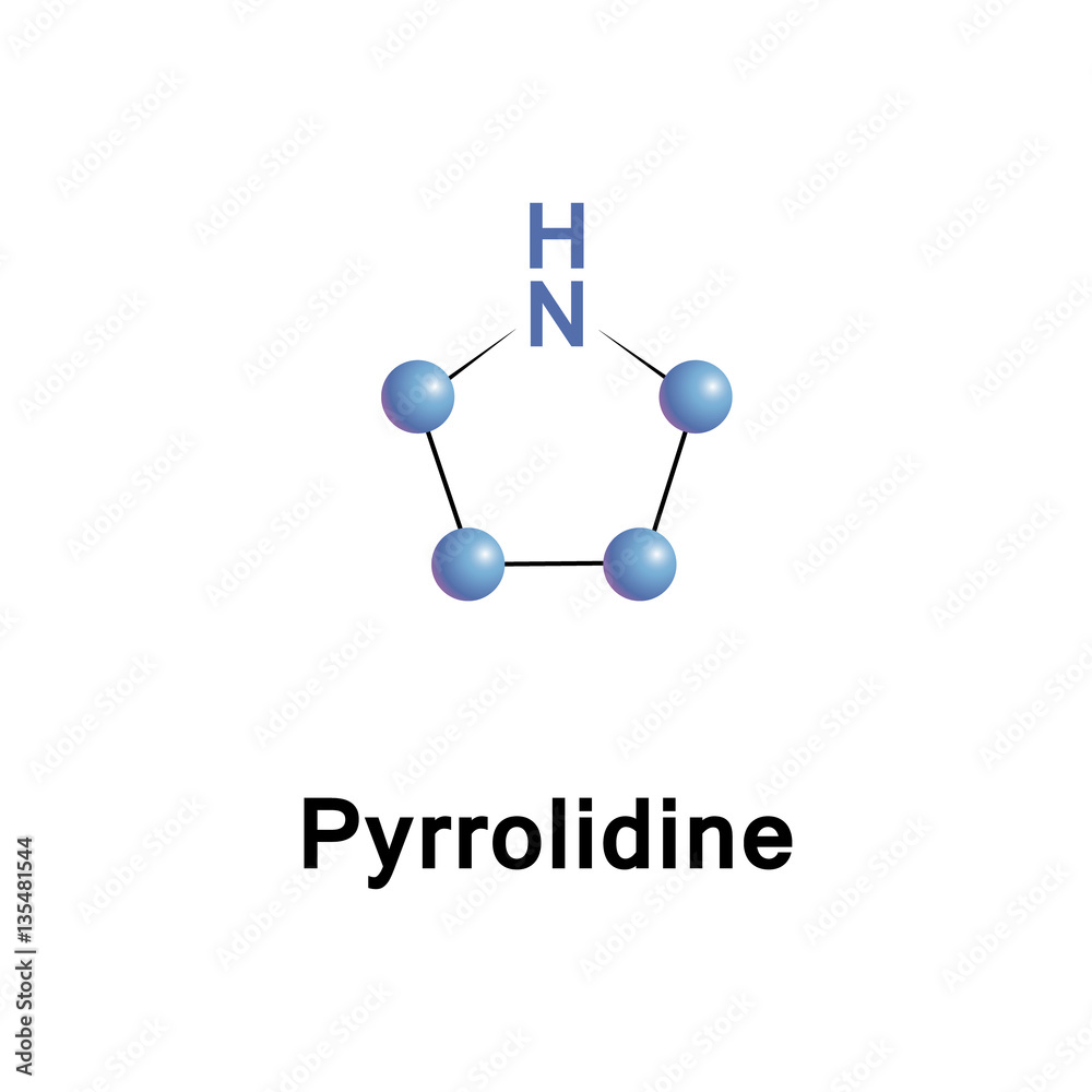 Pyrrolidine,or tetrahydropyrrole, is a cyclic secondary amine, classified as a saturated heterocycle. Pyrrolidine,or tetrahydropyrrole, is a cyclic secondary amine, classified as a saturated heterocycle.