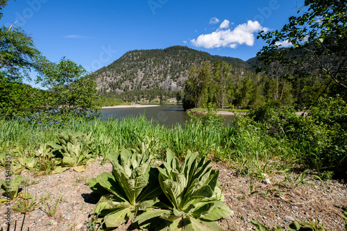 Along Similkameen River photo