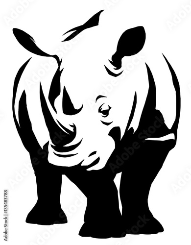 black and white linear paint draw rhino illustration photo