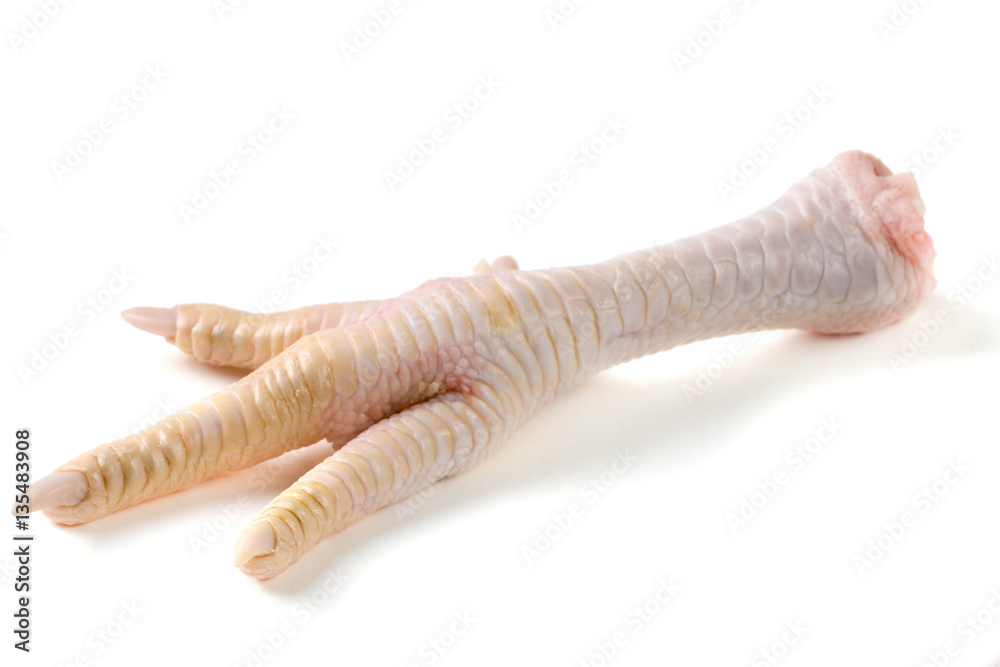 one chicken paw isolated on white background one chicken paw isolated on white background