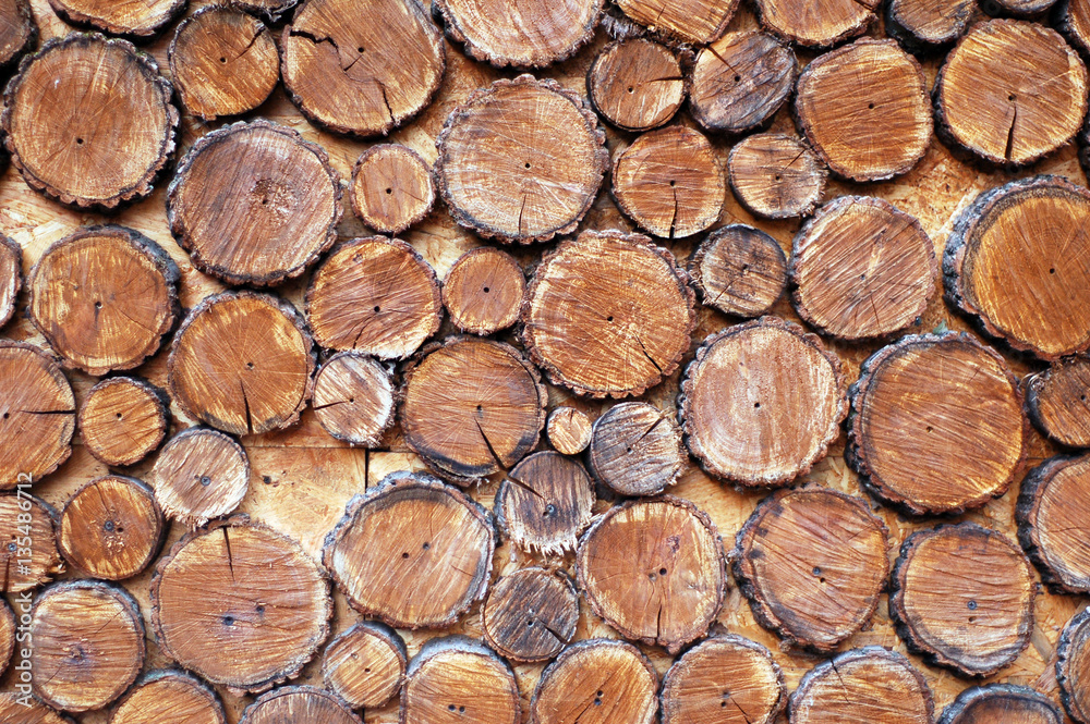 wood wood