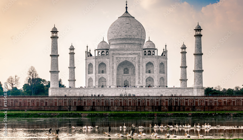 Obraz premium Very Beautiful and rare view of Taj Mahal of Agra in early morning with Pelicans swimming in Yamuna river