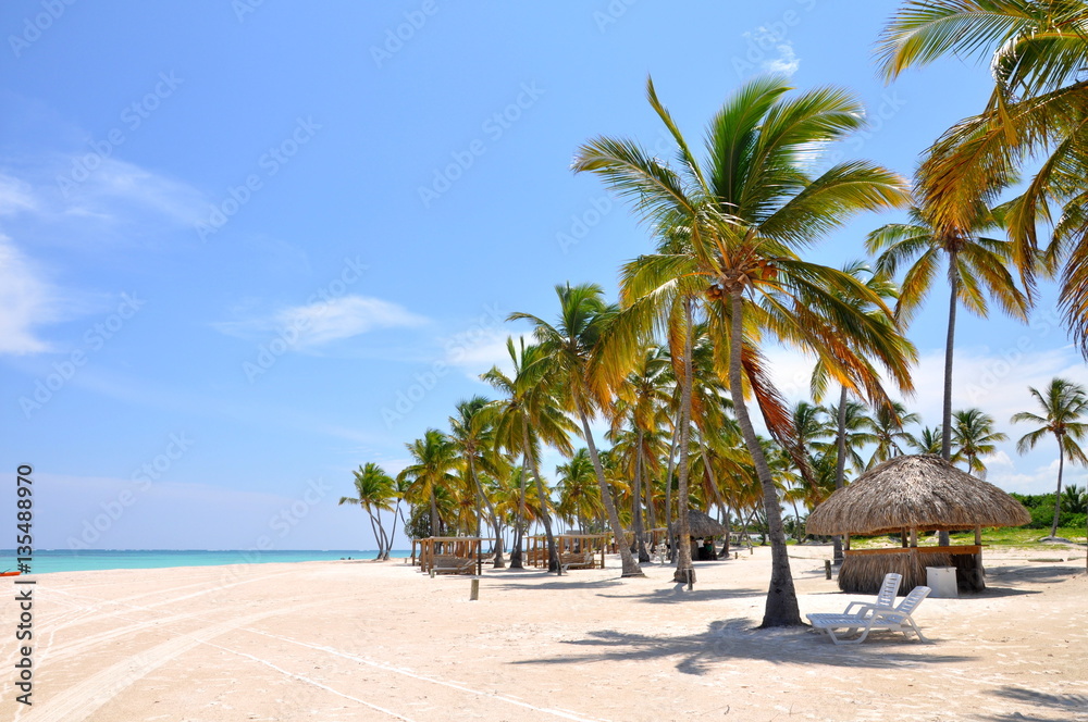 Palm trees, white sand and clear water on the tropical beach in Dominican Republic