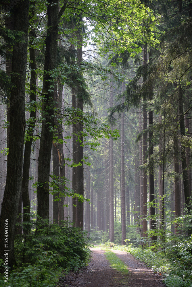 Obraz premium Ebersberger Felsenmeer