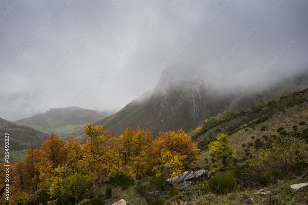 Fototapeta premium Otoño en Somiedo, Asturias, España