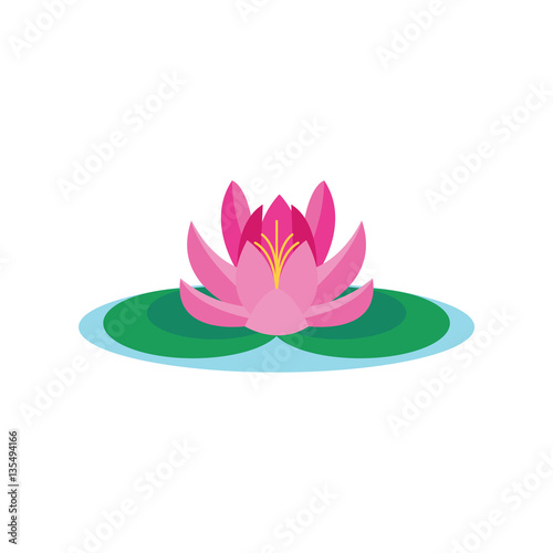 Beautiful lotus flower vector isolated on white background.