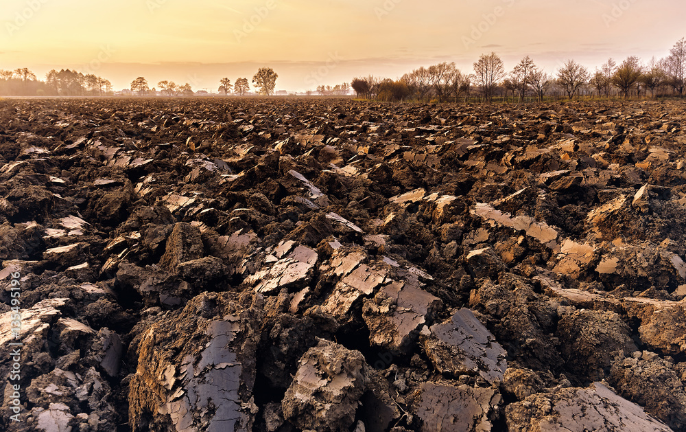 Obraz premium plowed soil. spring field. sunset over ploughed field. Countrysi