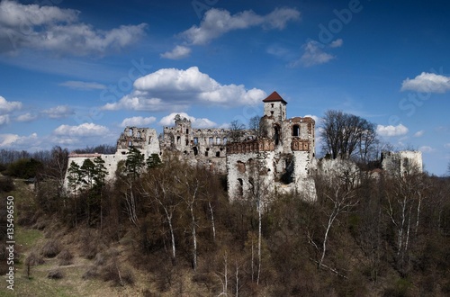 dawna siedziba tenczyńskich photo