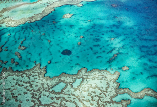 Grande barrière de corail photo