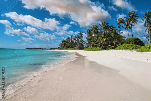 Tropical white sandy beach © alekosa