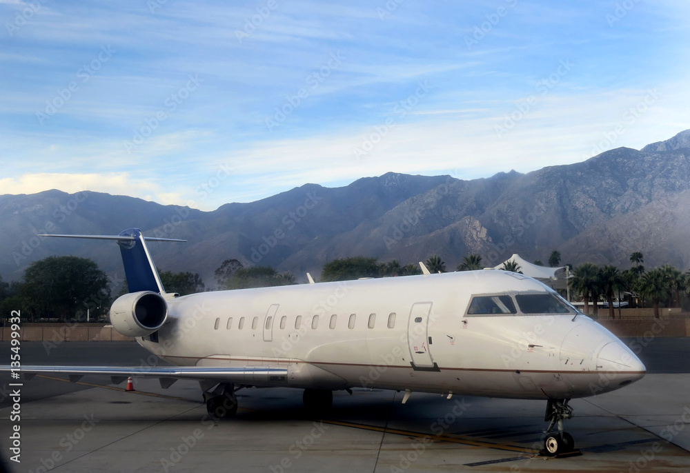 Naklejka premium Small plane in California