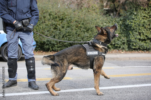 police dog barks during an anti-terrorism control in the city photo