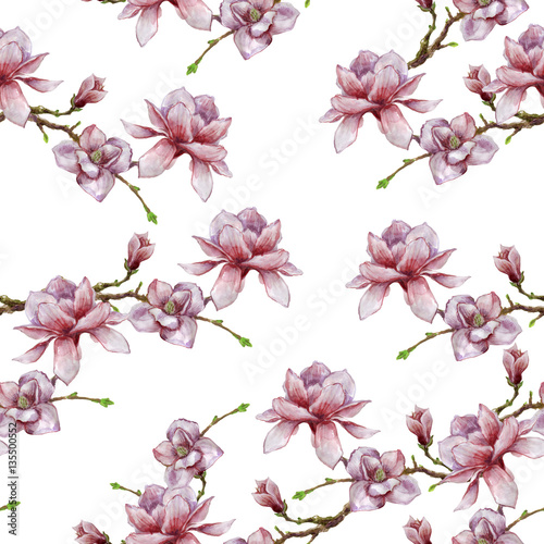 Watercolor illustration with magnolia branch isolated on white background. Spring background. Wedding card. Beautiful seamless pattern with blooming flowers