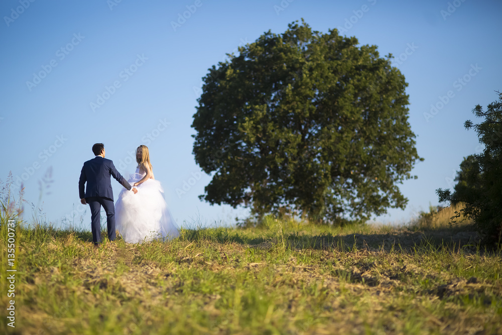 Obraz premium Young wedding couple enjoying romantic moments outside on a summer meadow. Happy groom and bride walking on summer sunset meadow