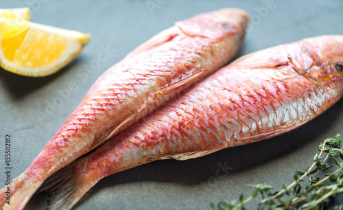 Fotografie Raw red mullet with ingredients