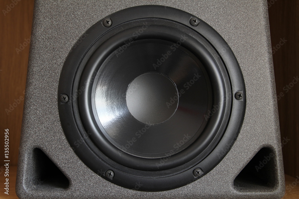Woofer or bass cone of a high end hi-fi speaker cabinet Woofer or bass cone of a high end hi-fi speaker cabinet