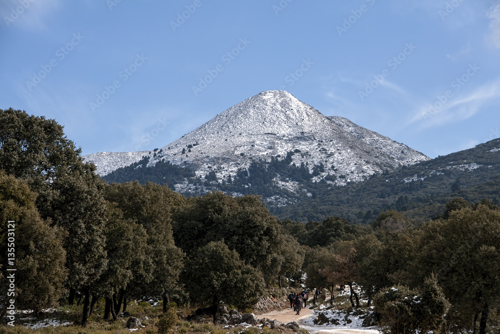 Pico Alcojona en el parque natural de la sierra de las Nieves en la provincia de Málaga, Andalucía