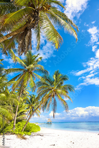 Tropical white sandy beach with palm trees.  Punta Cana  Dominic