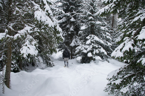 A hiker is walking in the midst of snow-covered trees. The landscape is all white because of the snow and the snowfall in progress