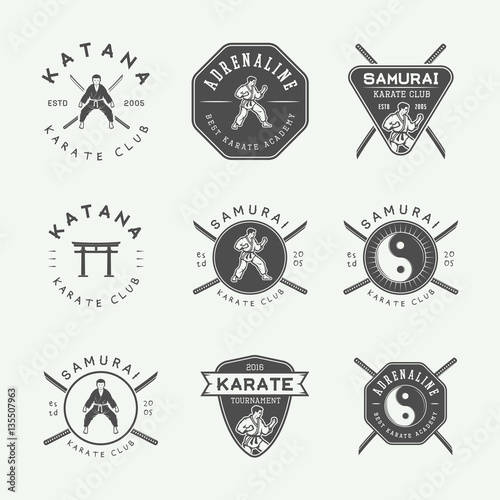 Set of vintage karate or martial arts logo, emblem, badge, label