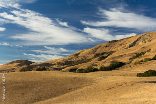 Late afternoon in the east bay hills of Fremont  California