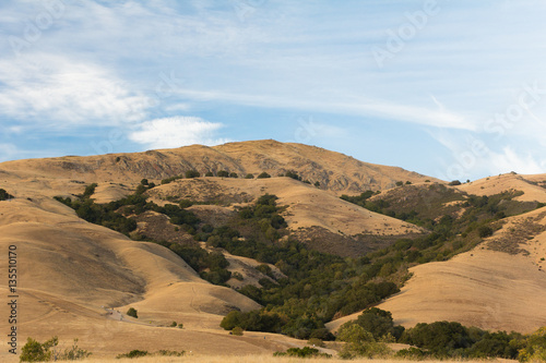 Late afternoon in the east bay hills of Fremont, California