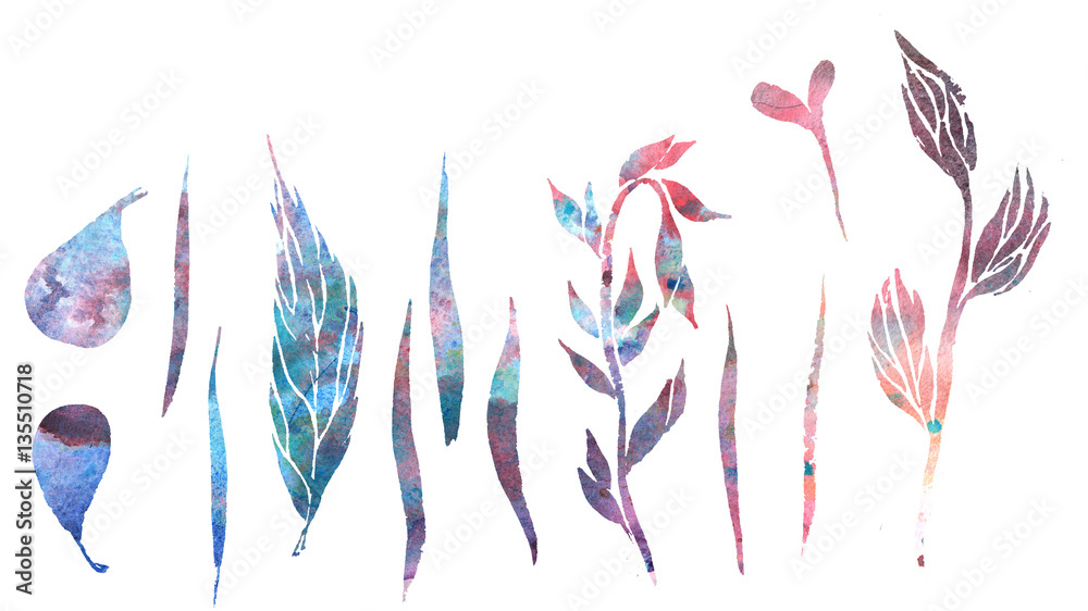 set of plant elements painted watercolor liar - leaf, petal , pi