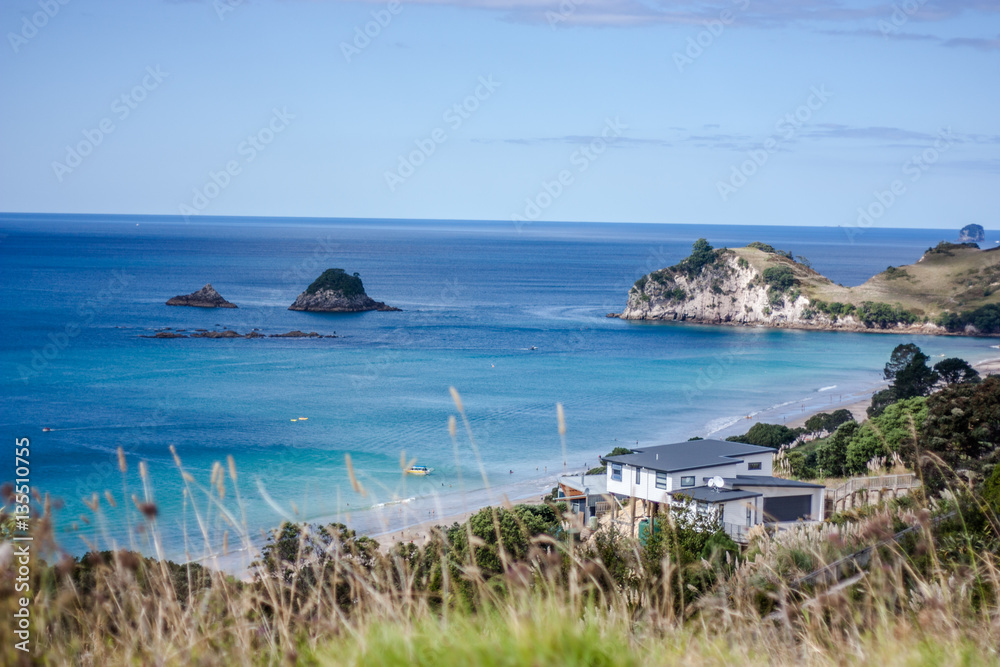 Obraz premium Coromandel Peninsula, North Island, New Zealand