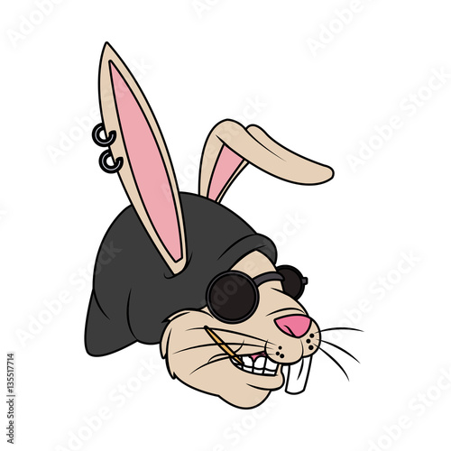 rabbit with hipster style over white background. colorful design. vector illustration