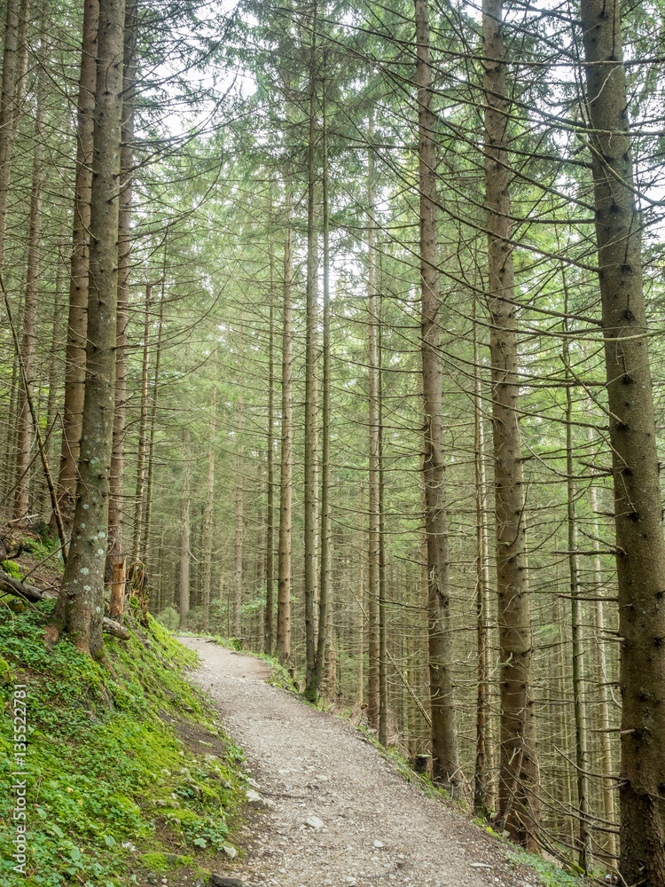 Fototapeta premium Kolbensattel near Oberammergau scenes
