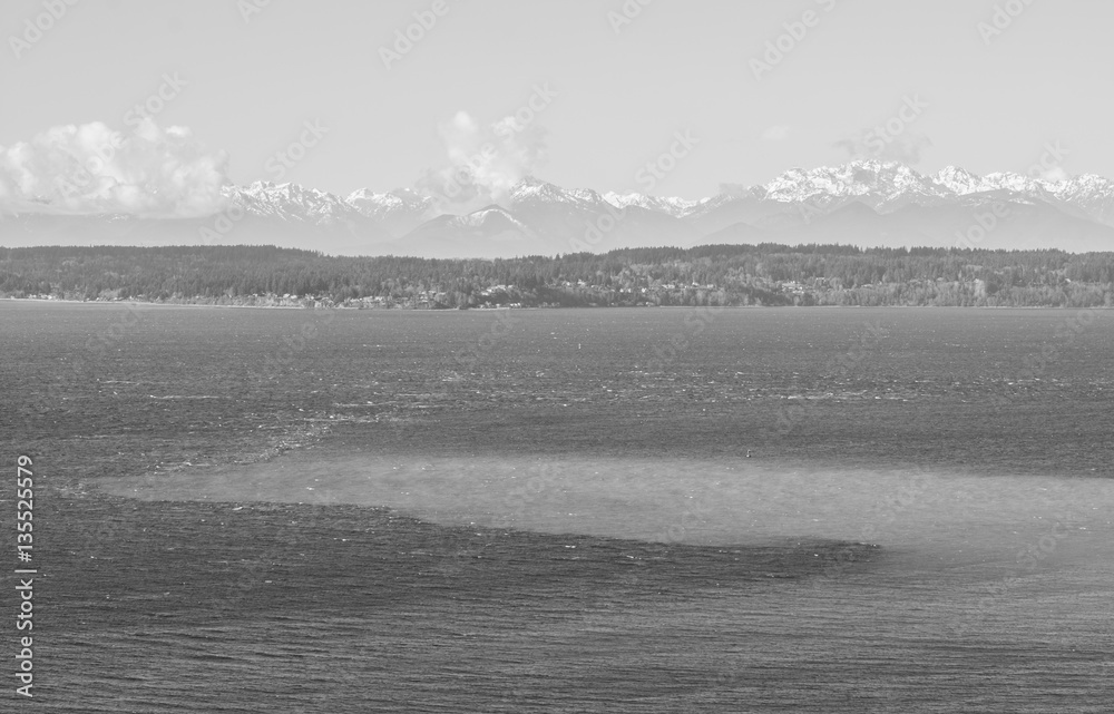 Puget Sound in Black and White II