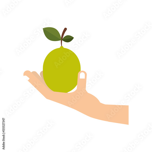 hand with fruit icon vector illustration graphic design