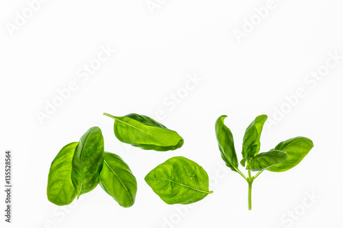Bild auf Leinwand sweet basil leaves on white background with copy space
