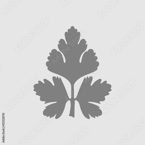 parsley icon