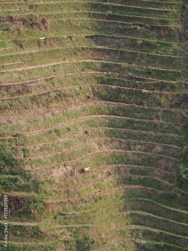 Tiantouzhai Rice Terraces, Guilin China photo