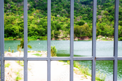 iron fence view to nature