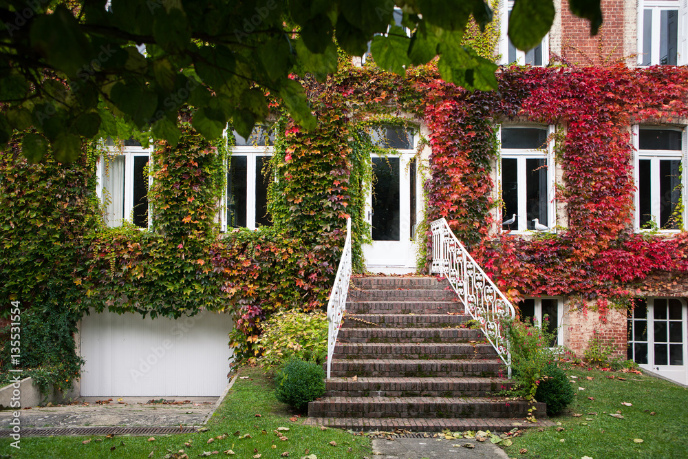 Fototapeta premium Old house with autumn leaves on the wall