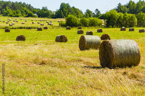 Canvas-taulu hay and haystacks in a field