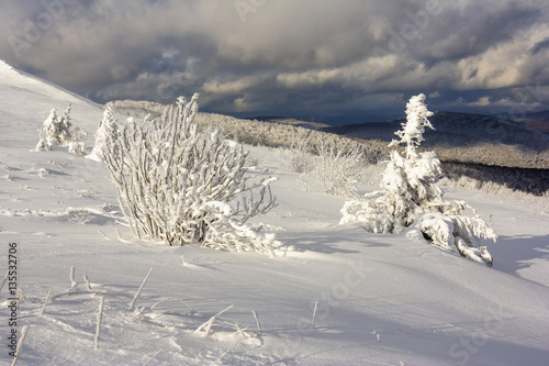 Winter mountain scenery in Bieszczady mountains, South Eastern Poland