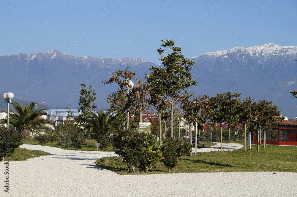 Obraz premium ornithological park in the Sochi in winter. Russia