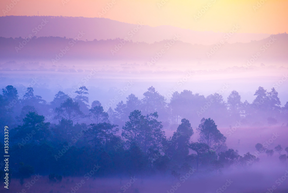 Sunrise time at Thung Saleang Luang National Park during winter in Phetchabun, Thailand.