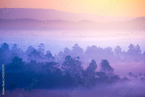 Sunrise time at Thung Saleang Luang National Park during winter in Phetchabun, Thailand. © newroadboy