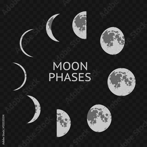 Obraz na plátně Phases of Moon Card. Vector