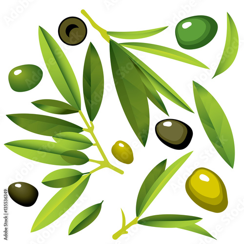 Olive Branches with Olives green and black. Flat Illustration