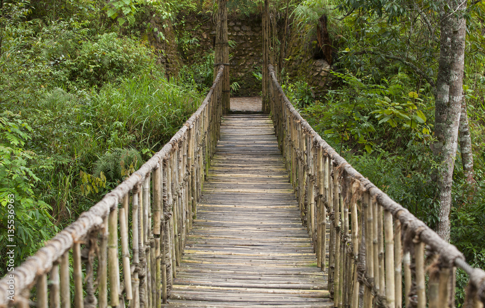 Hanging bridge at natural rain forest 