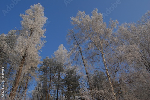 Wallpaper Mural Wyzyna Lubelska, Szadz. Torontodigital.ca