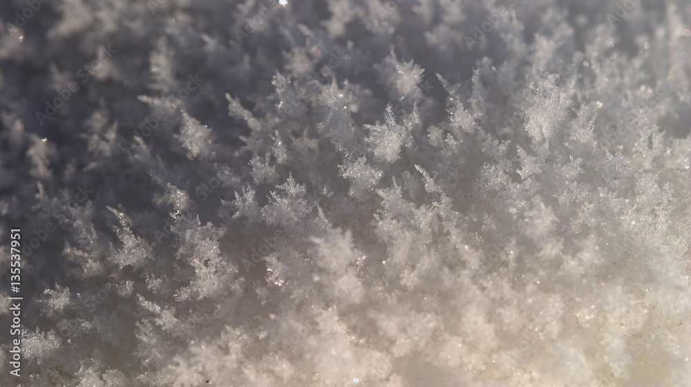 Obraz premium snow and frost
