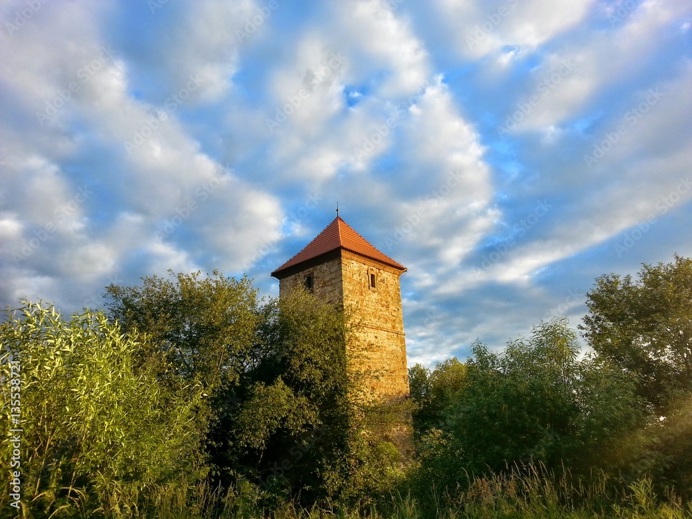 The historical tower hidden among the trees. Nice sunny day with blue sky with some clouds.
