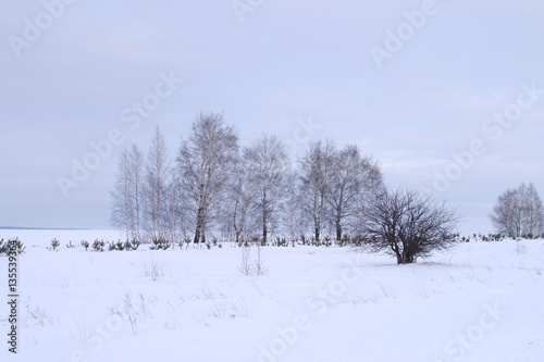Winter walk in Sokolka